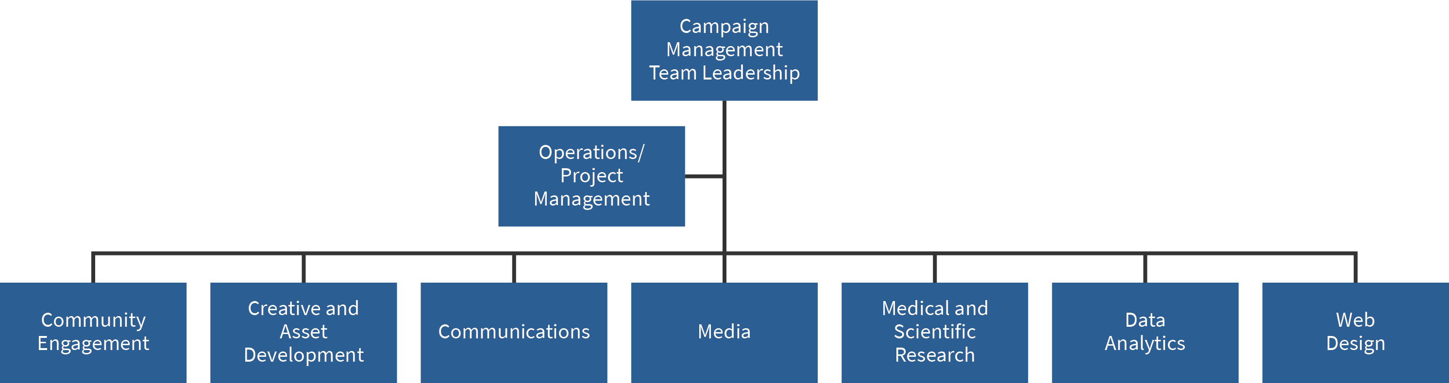 Example Campaign Management Team Organizational Structure
